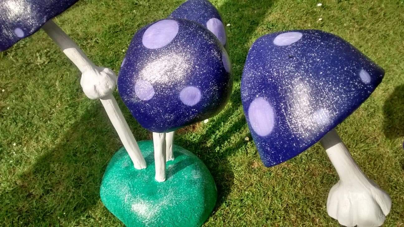 received_198337301977785 image mushrooms
