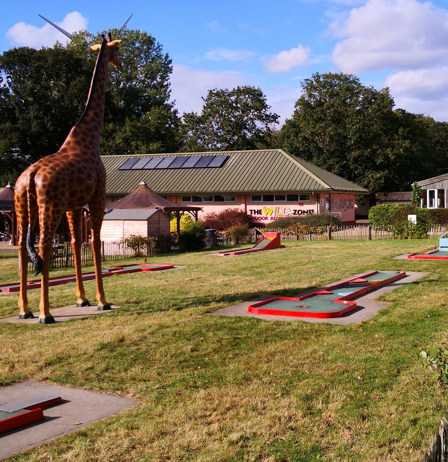 mini-golf-course-at-africa-alive-kessingland-lowestoft-suffolk.-photo-by-c.gottfried-050920-1 image big giraffee