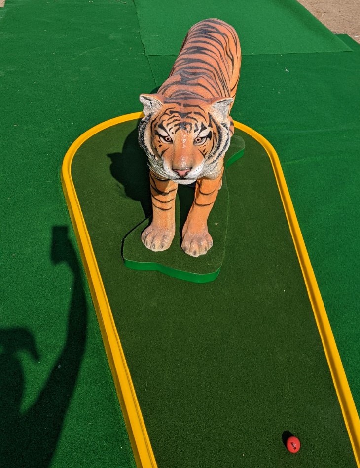 tiger image Tiger on Yellow