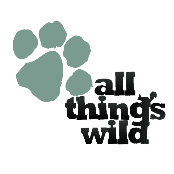 all-thing-wild image all-thing-wild Mini Crazy Golf Builders - DK Fibreglass